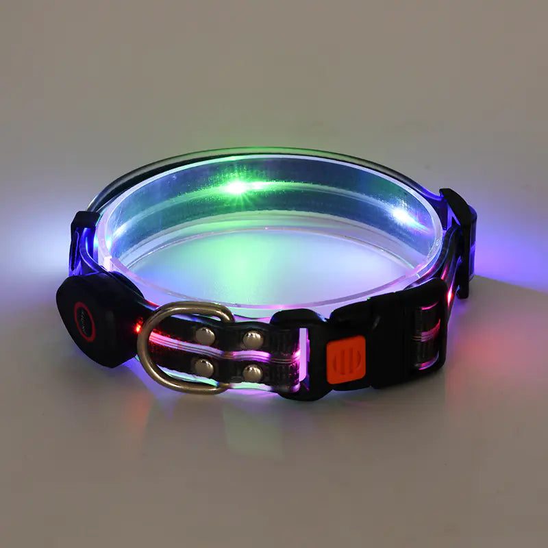 Rechargeable LED puppy collar with a metal buckle and lights with Black (Midnight) accents.