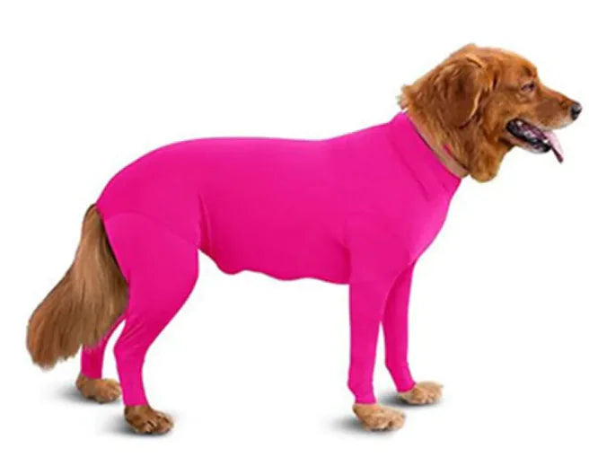 Dog wearing a Pink (Bubblegum) anxiety relief jumpsuit. Soft and breathable jumpsuit applies gentle pressure to reduce stress.