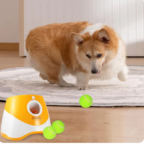 Orange and white tennis ball launcher with three yellow tennis balls for puppy play time with engaged dog in background