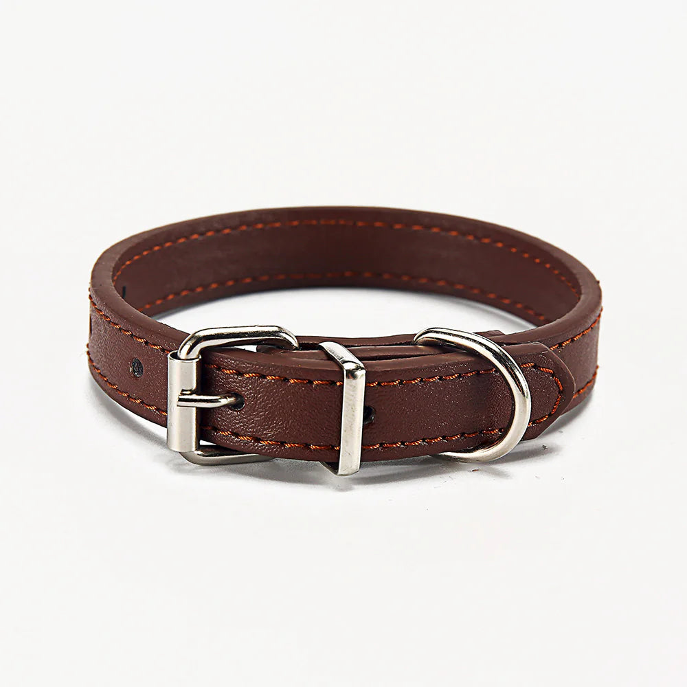 Soft adjustable Brown (Coffee) leather dog collar with silver buckle on a white background