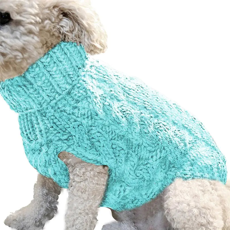 Dog wearing a soft Light Blus (Sky) wool blend sweater. This sweater is a stylish and warm option when walking your pet on chilly days.