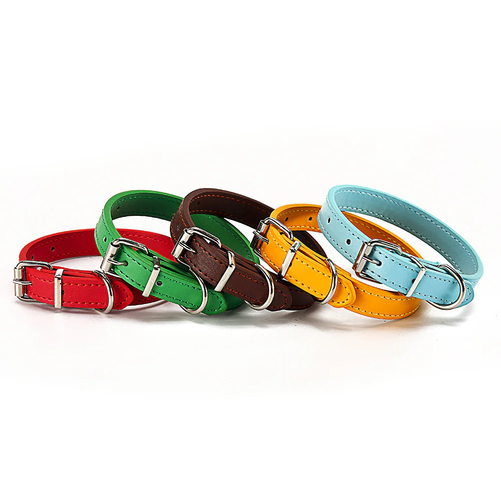Five adjustable colorful dog collars with silver buckles arranged in a row on a white background