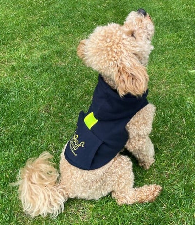 Cold Weather Pup Gear