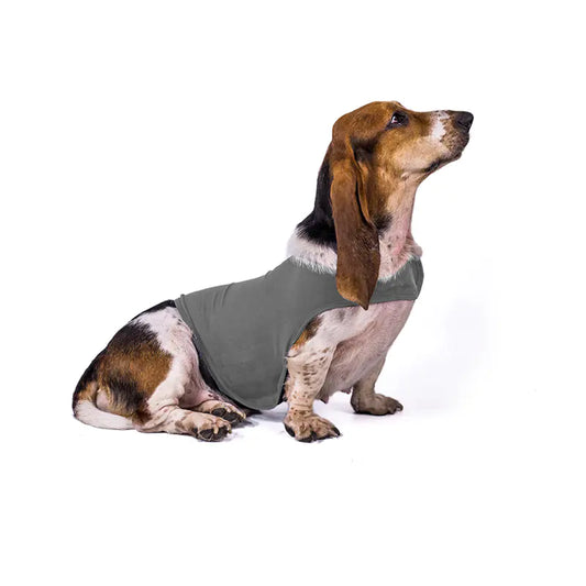 A dog wearing a gray anxiety relief jacket vest. Acrylic vest is breathable and fits snugly but comfortably.