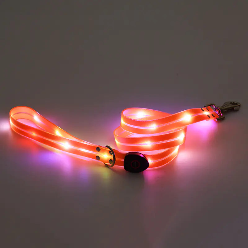 Rechargeable dog leash. The nylon leash features a LED light strip with Orange (Autumn) illumination.