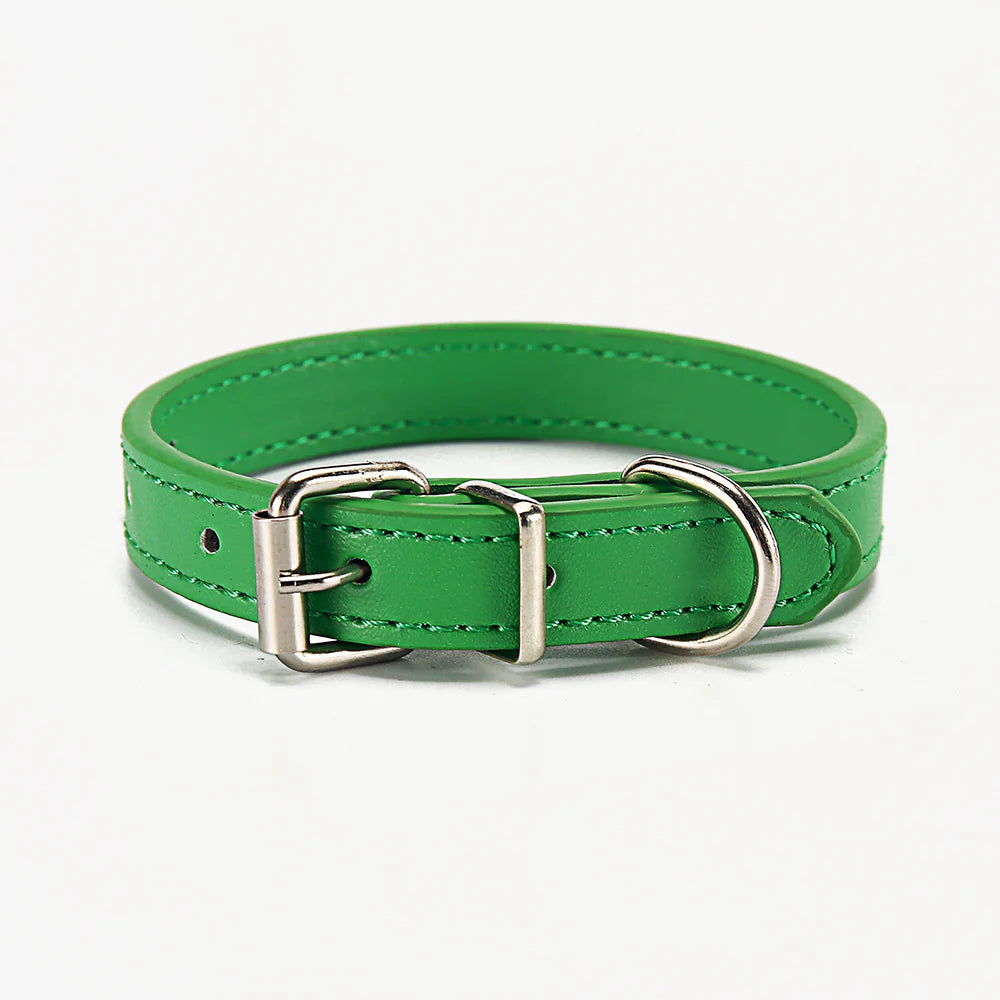 Soft adjustable Green (Forest) leather dog collar with silver buckle on a white background