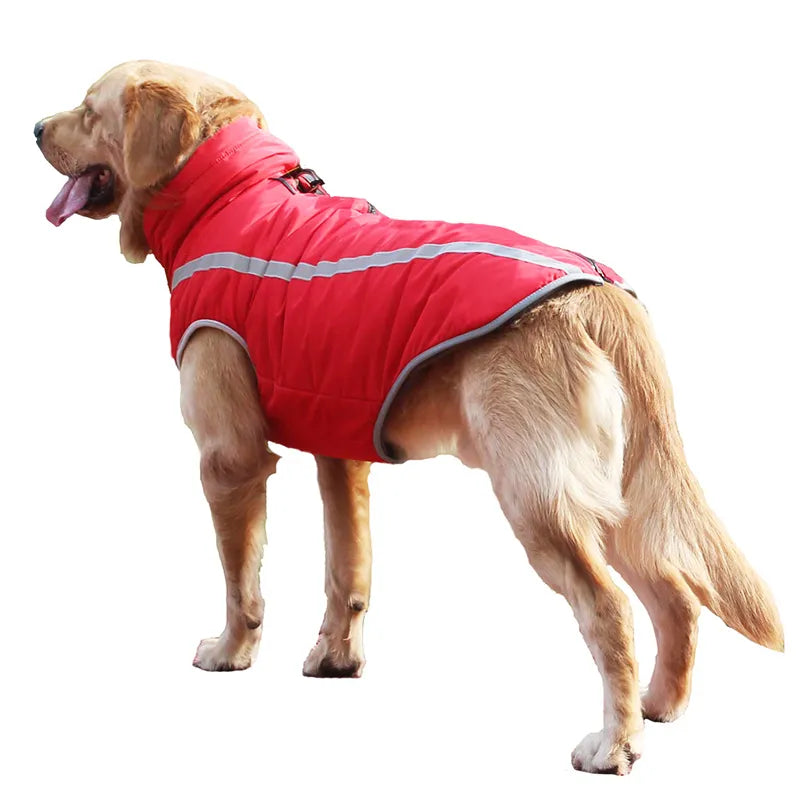 Dog wearing a pink windproof coat. Jacket features adjustable straps & velcro for a snug fit.