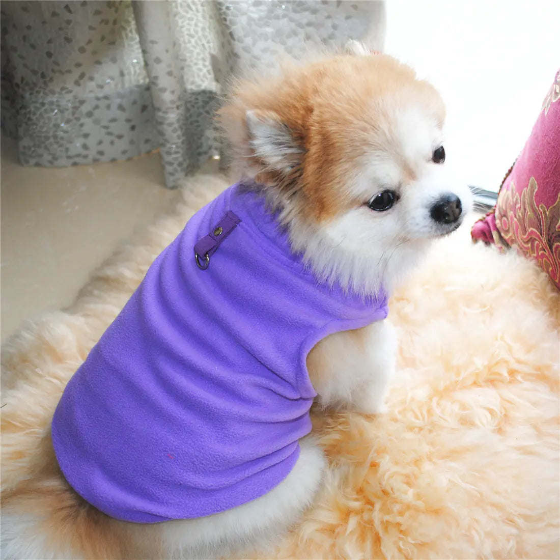 Small dog wearing vest harness on a white carpet. Made of soft polar fleece for your pet's warmth and comfort.
