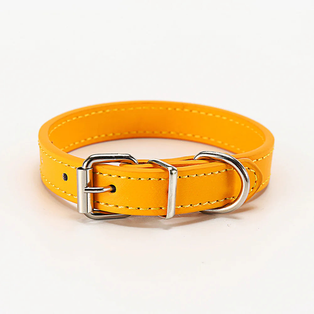 Soft adjustable Yellow (Sunshine) leather puppy collar with silver buckle on a white background