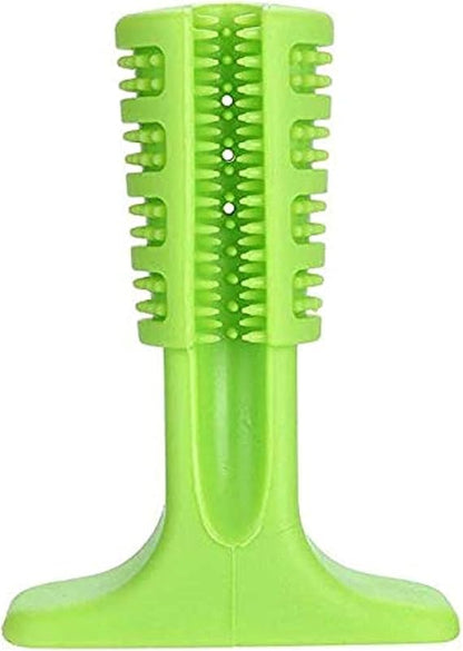 Green (Spring) dental dog chew brush. Keeps your doggy entertained while it massages gums and freshens breath.