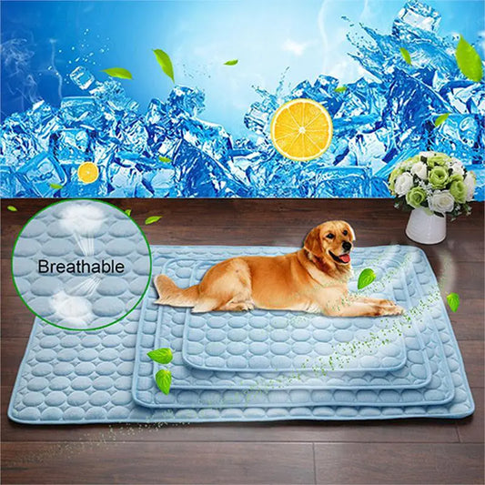 Dog lying on 4 of the blue pet cooling beds of various sizes. These  self-cooling mats provide a perfect summer chill spot.