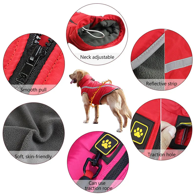 Dog wearing a red windproof jacket with various features highlighted in close-up shots.