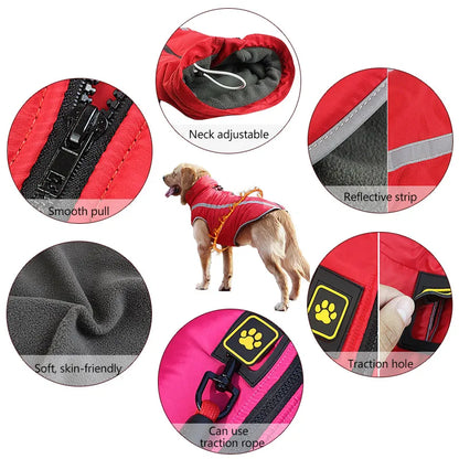 Dog wearing a red windproof jacket with various features highlighted in close-up shots.