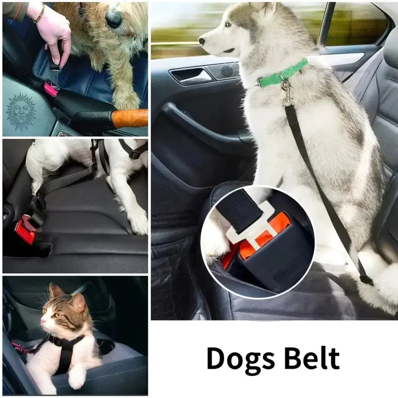 Picture of various pets being restrained by the adjustable car pet seat belt, with one of the pictures showing how the belt is locked.