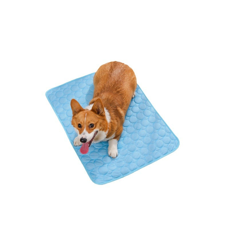 Doggy lying on a Light Blue (Sky) cooling pad on a white background. Pet chills in comfort on the mat.
