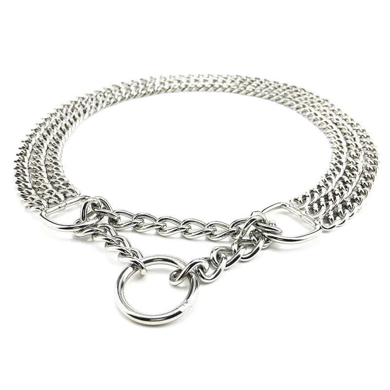 Silver dog trainer collar on a white background