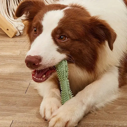 Dog enjoying a chew on a green chew toy with textured surface for teeth and gum health.