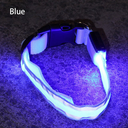 Blue (Lake) LED Luminous Safety doggie collar. This reflective collar is perfect for those nighttime walks with your pet.