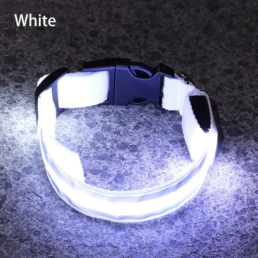 White (Pearl) LED Luminous Safety pet collar. This reflective collar is perfect for those nighttime walks with your pup.