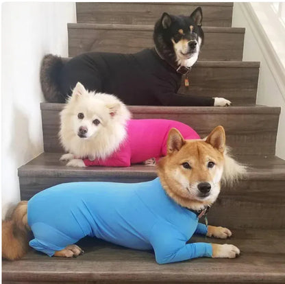 Three dogs wearing anti-anxiety jumpsuits relaxing on stairs. Soft and breathable suit uses gentle pressure to reduce stress.