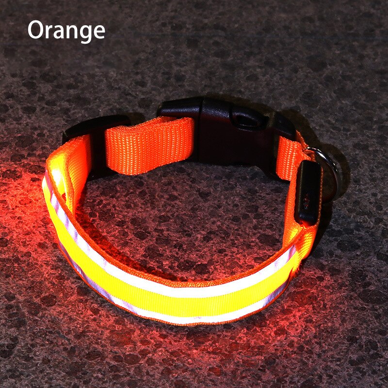 Orange (Autumn) LED Luminous Safety pet collar. This reflective collar is perfect for those nighttime walks with your dog.