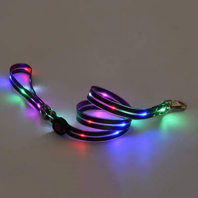 Rechargeable puppy leash. The Black (Midnight) nylon leash features an illuminated LED light strip.