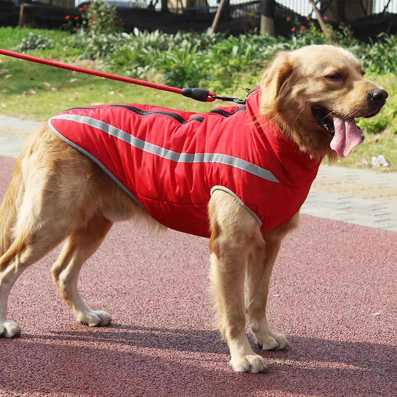 Cozy Canine Windproof Jacket
