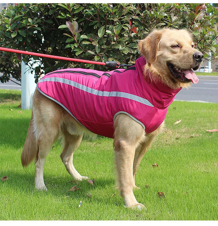 Cozy Canine Windproof Jacket