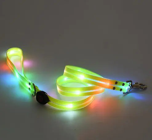 Rechargeable doggy leash. The nylon leash features a LED light strip with Yellow (Sunshine) illumination.