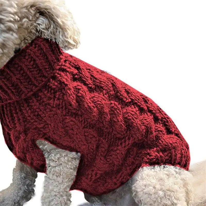 Pet wearing a soft Red (Ruby) wool blend sweater. This sweater is a stylish and warm option when walking your puppy on chilly days.