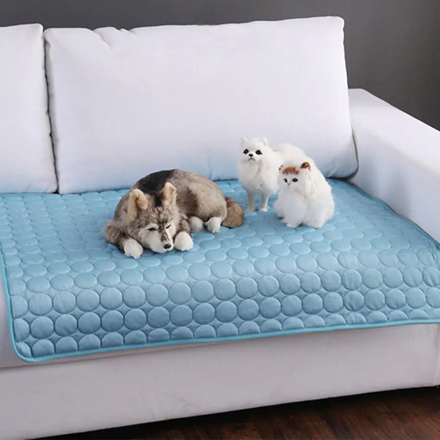 Puppy and kittens lying on a blue pet cooling bed. Self-cooling mat on a couch creates a summer chill spot.