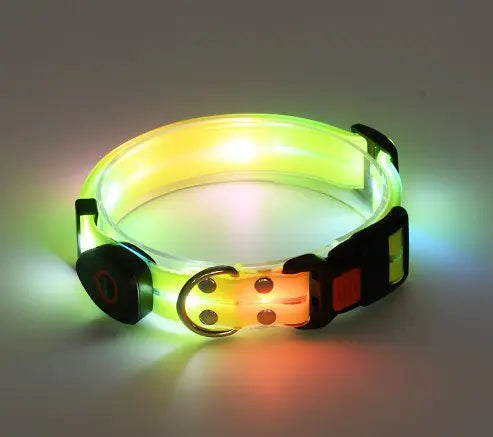 Rechargeable LED doggy collar with a metal buckle and Yellow (Sunshine) lights on a gray background