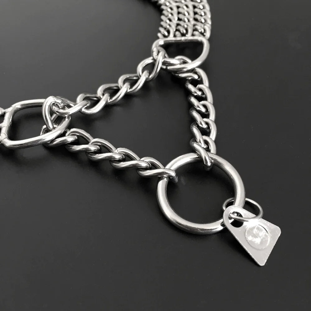 Silver dog trainer collar with a shaped tag on a gray background