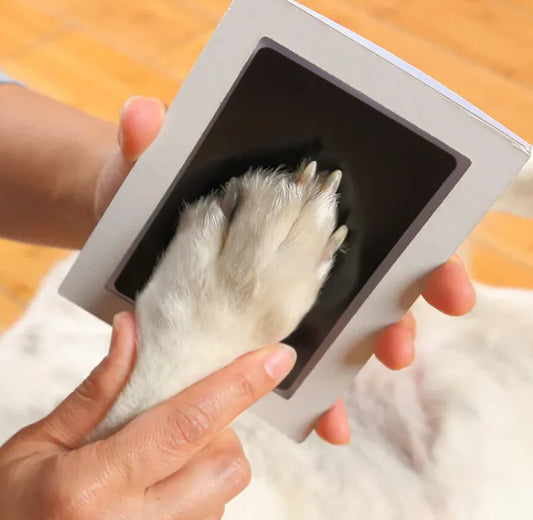 A doggie parent is capturing their pet's paw print, symbolizing the memory being preserved.
