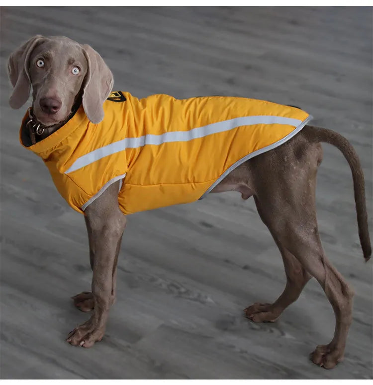 Cozy Canine Windproof Jacket