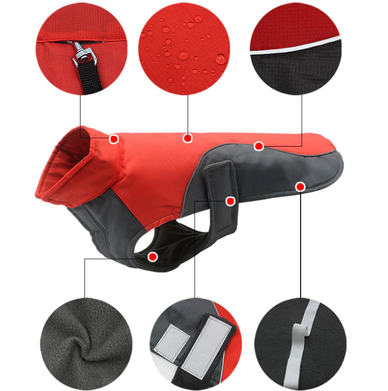 Red and gray doggie coat with close-up details on a white background