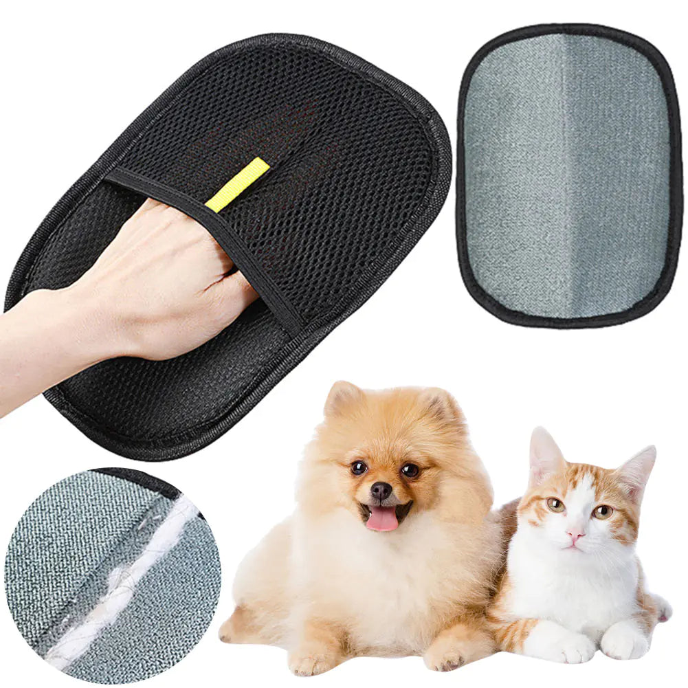 Close-up of front and back of black pet grooming glove with a playful puppy and kitty watching