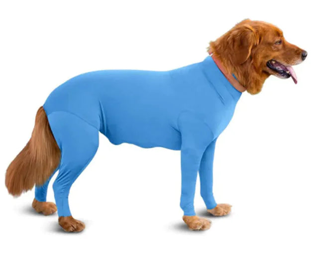 Dog wearing a Light Blue (Sky) anxiety relief jumpsuit. Soft and breathable jumpsuit applies gentle pressure to reduce stress.