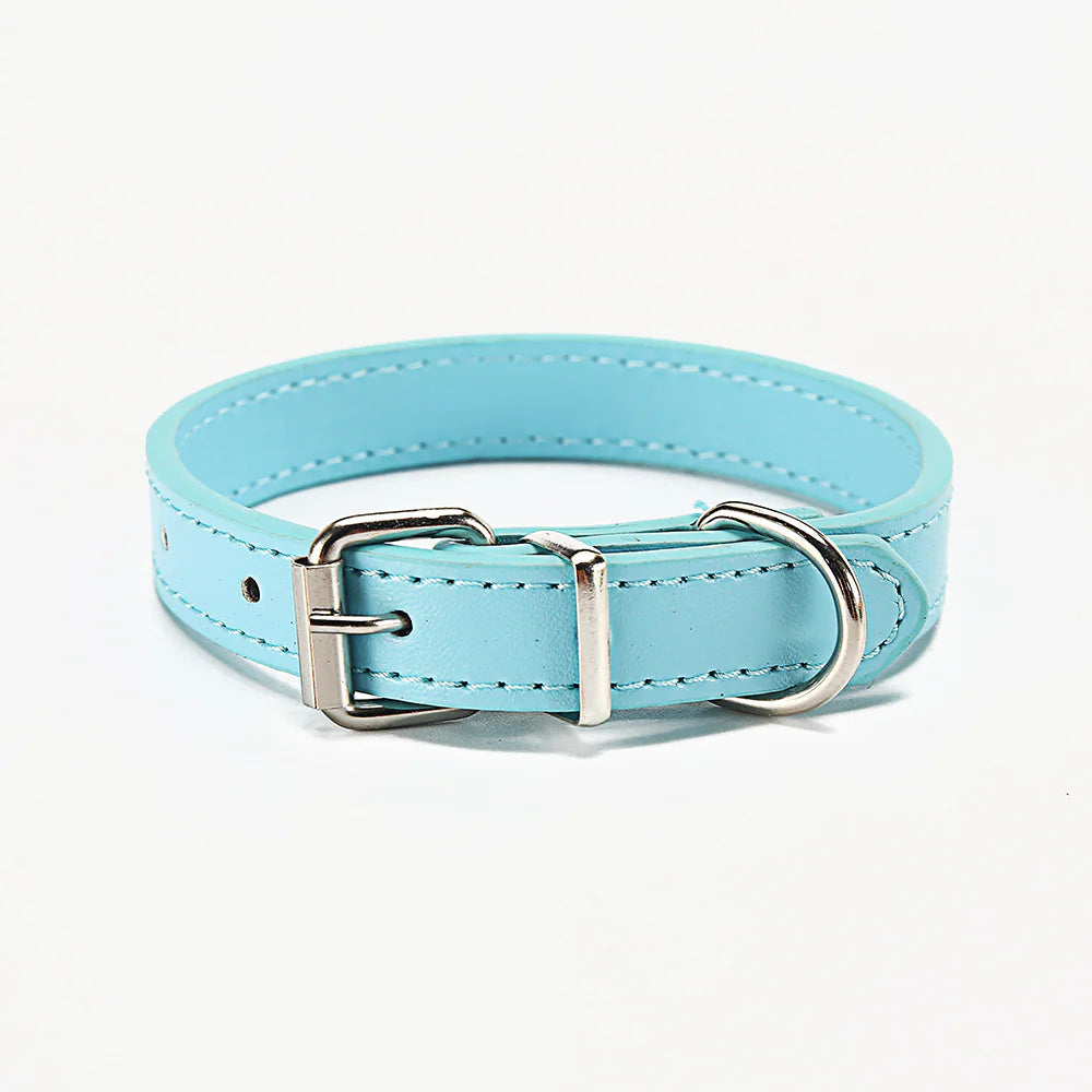 Soft adjustable Light Blue (Sky) leather puppy collar with silver buckle on a white background