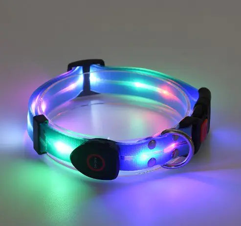 Rechargeable LED doggie collar with a metal buckle and Light Blue (Sky) lights on a gray background