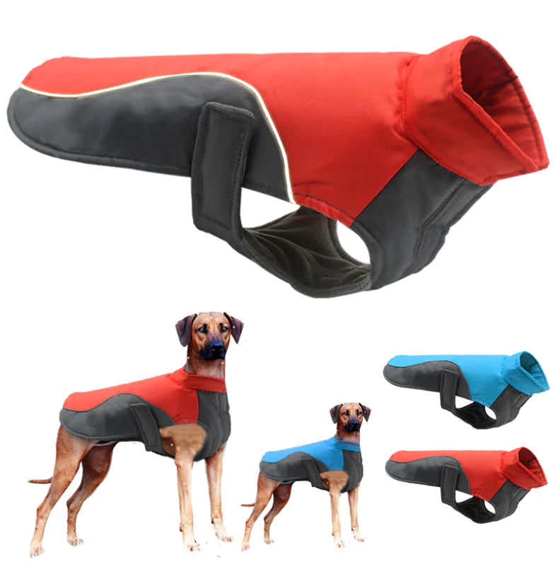 Dogs wearing red and gray and blue and gray raincoat jackets. Other doggy jackets are in the background.
