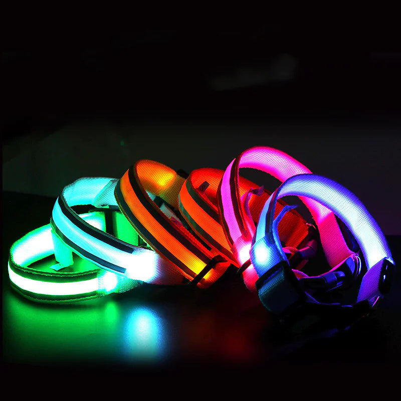 Set of dog collars of various colors. The LED for the collars have been turned on for a luminous display.