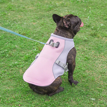 Doggie wearing a breathable lightweight pink and gray cooling vest. Soaking vest in water increases chilling effect.