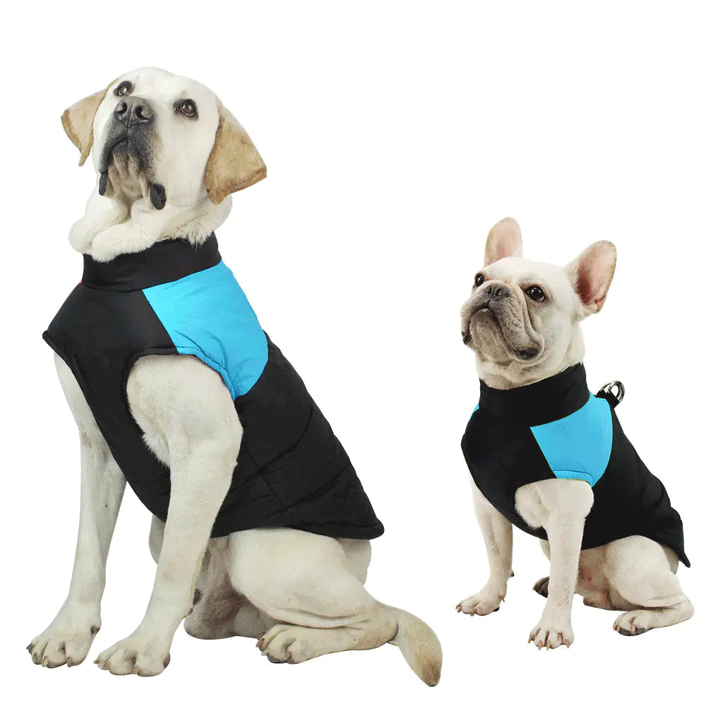 Autumn-Winter Cotton Padded Big Dog Apparel