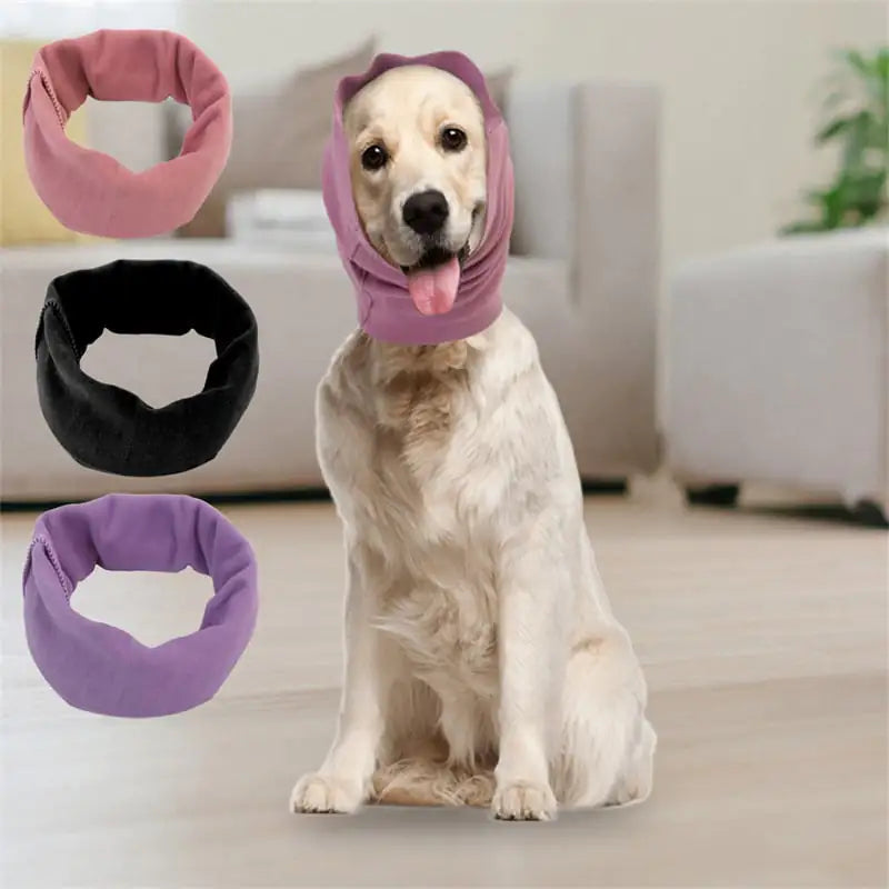 Dog wearing a pink calming dog ears cover with three additional covers displayed in the foreground.