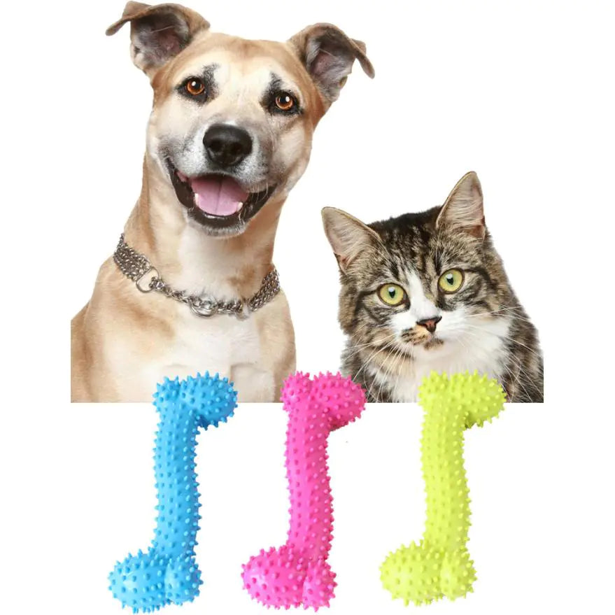 Dog and cat with colorful bone shaped pet toys on a white background