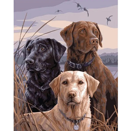 Completed diamond painting art kit featuring three dogs of different breeds sitting outdoors with a body of water and birds in the background.